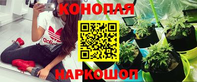 спиды Чапаевск